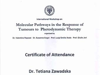 Дипломы и Сертификаты - diplomy_i_sertifikaty_Diplom-003_sm.jpg